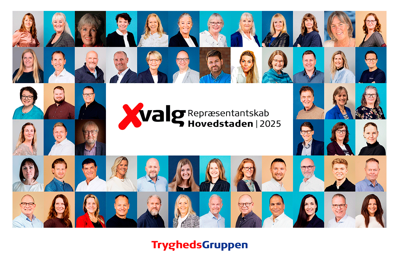 kandidatoversigt